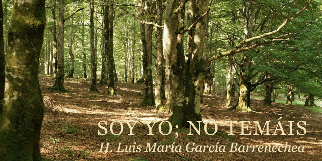 soy.001