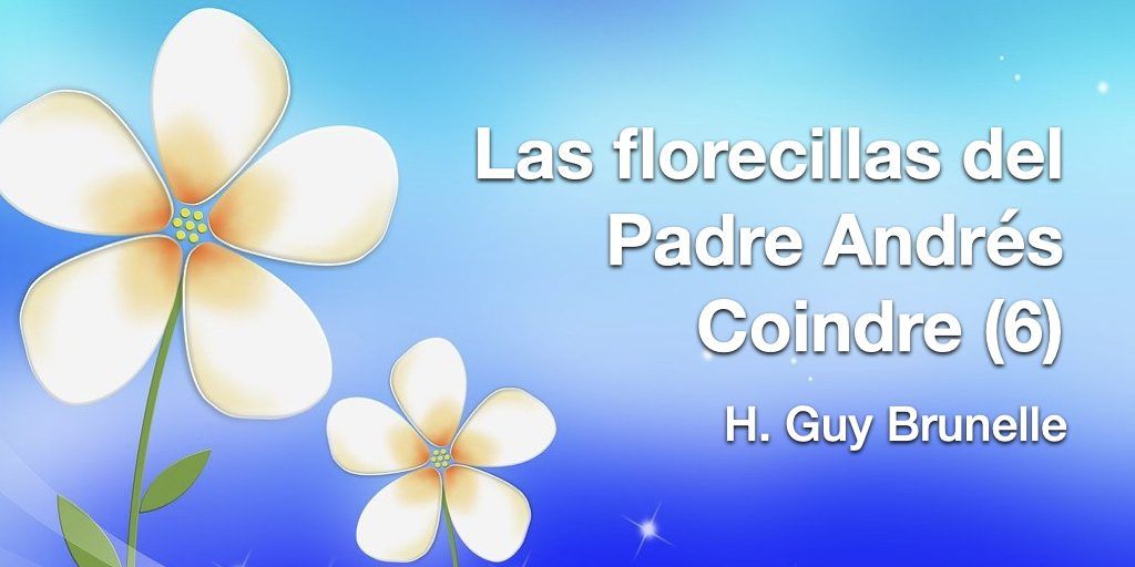 florecillas 6.001